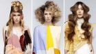 Shifting Shapes, de Bert de Zeeuw
