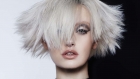 Legacy de Janet Maitland Hair Excellence
