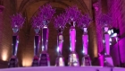 International Hairdressing Awards 2025: ¡Conoce a los prenominados!