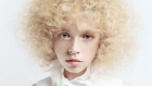 Alabaster Collection de Tracey Hughes