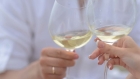 Elevando la experiencia en el salón: Wine Connoisseur System