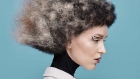 Descubre Aragonite de Louise Vlaar