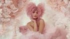 Dreams Collection de Shelley Lane